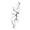 Wall Dampness